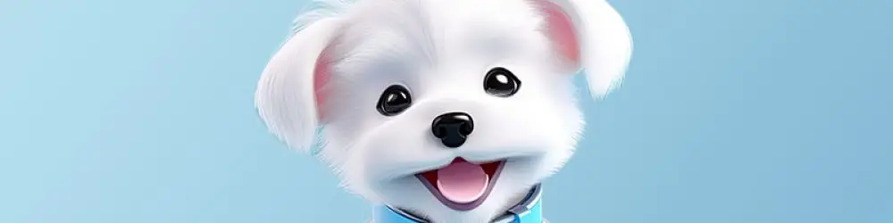 White fluffy dog