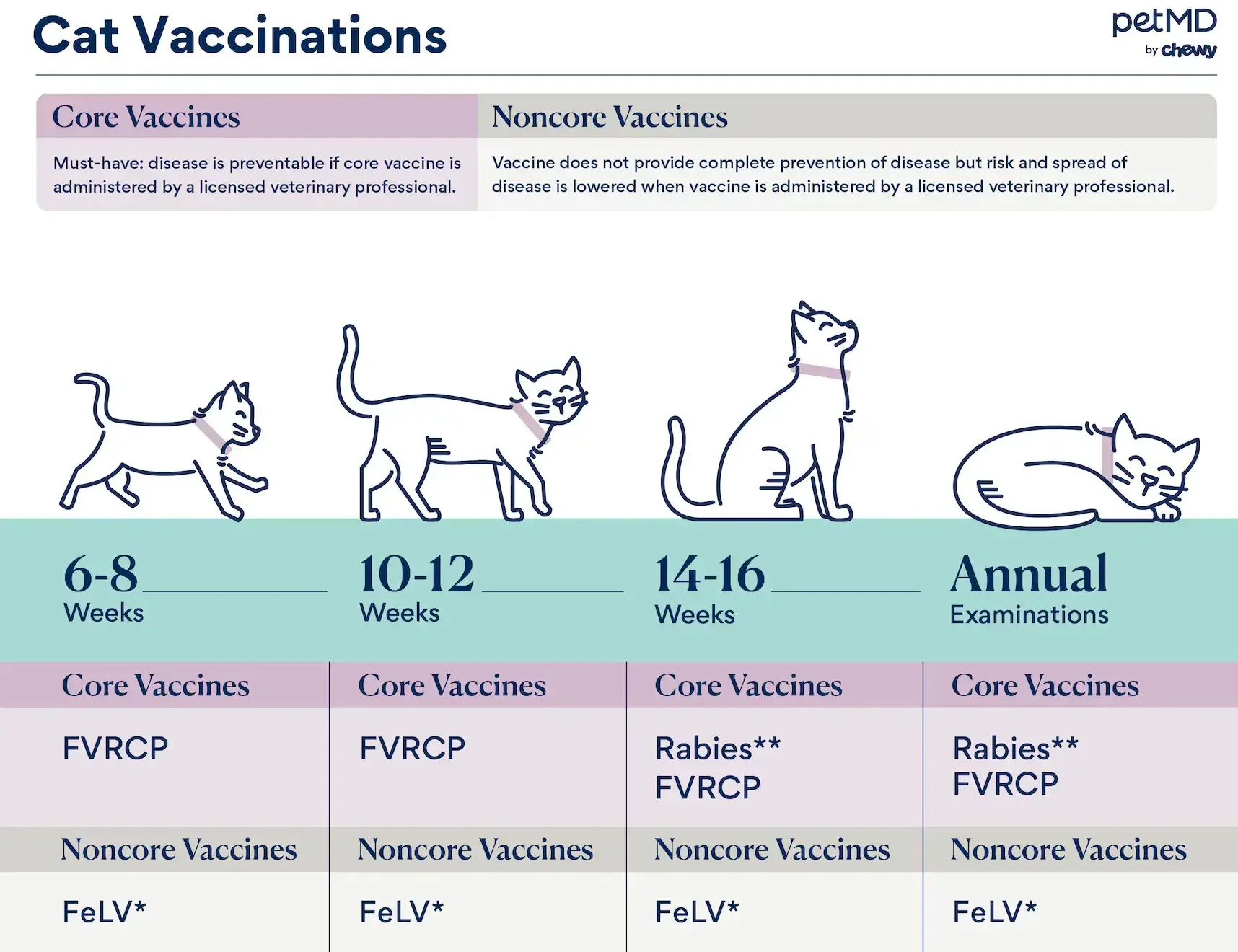 lịch tiêm phòng cho mèo con theo từng giai đoạn từ 6 tuần tuổi đến trưởng thành