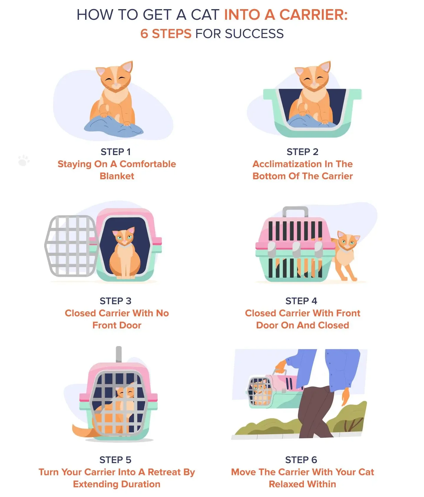 các bước giúp mèo làm quen với túi vận chuyển an toàn