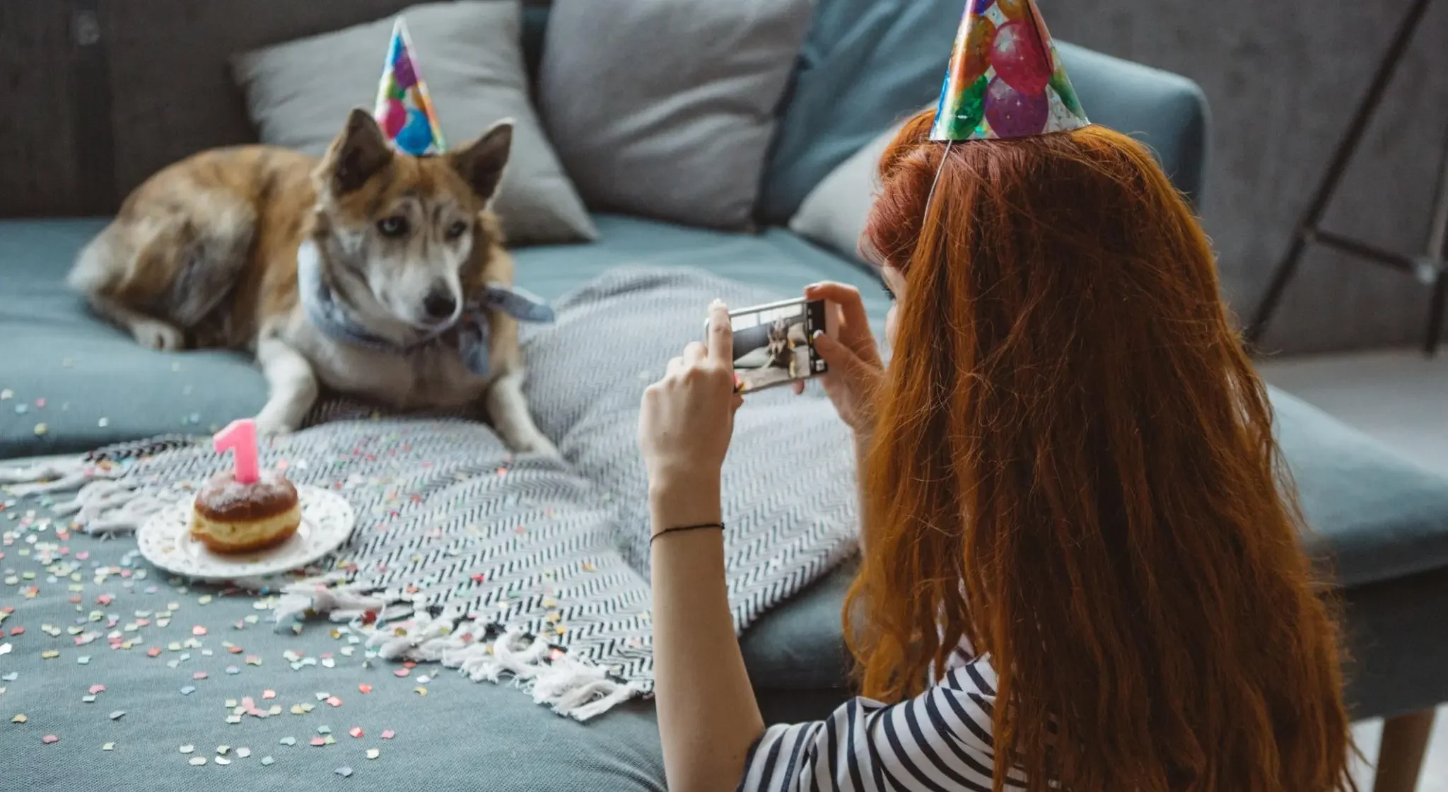 Khoảnh khắc ghi lại sinh nhật cho thú cưng tại nhà với chó đội mũ và bánh nhỏ, tạo nên một ngày vui vẻ và ý nghĩa.