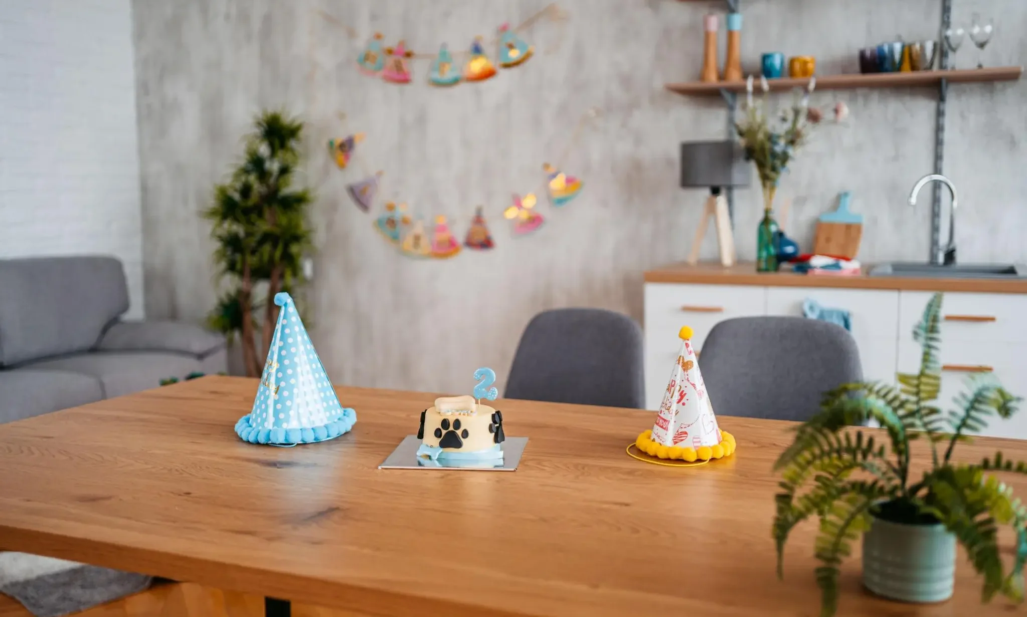 Chuẩn bị không gian tổ chức sinh nhật cho thú cưng tại nhà với bánh, mũ và trang trí đơn giản, tạo cảm giác ấm cúng và an toàn cho chó mèo.