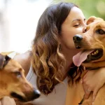 chăm sóc chó nhặt ngoài đường đúng cách