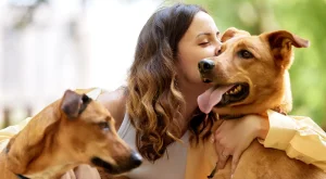 chăm sóc chó nhặt ngoài đường đúng cách