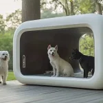 Nhà thông minh cho thú cưng với không gian riêng hiện đại giúp chăm sóc thú cưng hiệu quả hơn