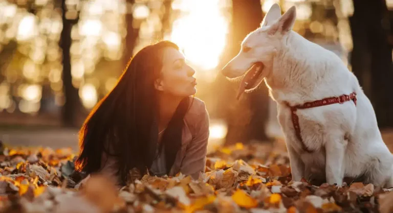 Người chơi đùa cùng thú cưng thể hiện cách nuôi thú cưng ở nước ngoài như một người bạn đồng hành