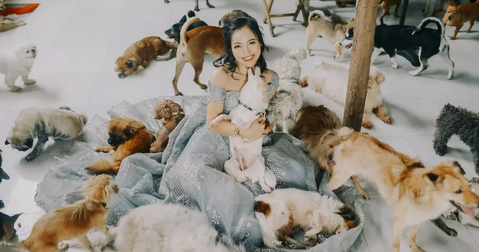 Trạm cứu hộ chó mèo chăm sóc thú cưng bị bỏ rơi tại TP.HCM