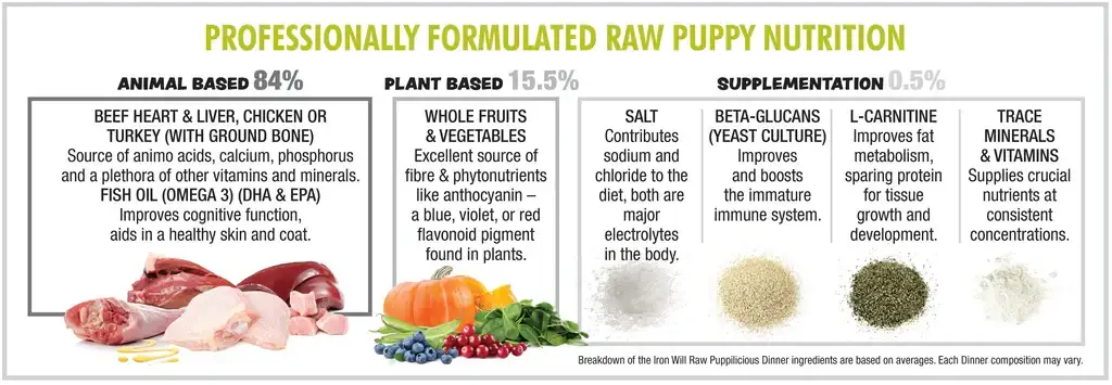 dinh dưỡng thức ăn cho chó con gồm protein chất béo vitamin và khoáng chất