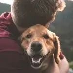 Người ôm thú cưng giúp cải thiện sức khỏe tinh thần và mang lại cảm giác chữa lành