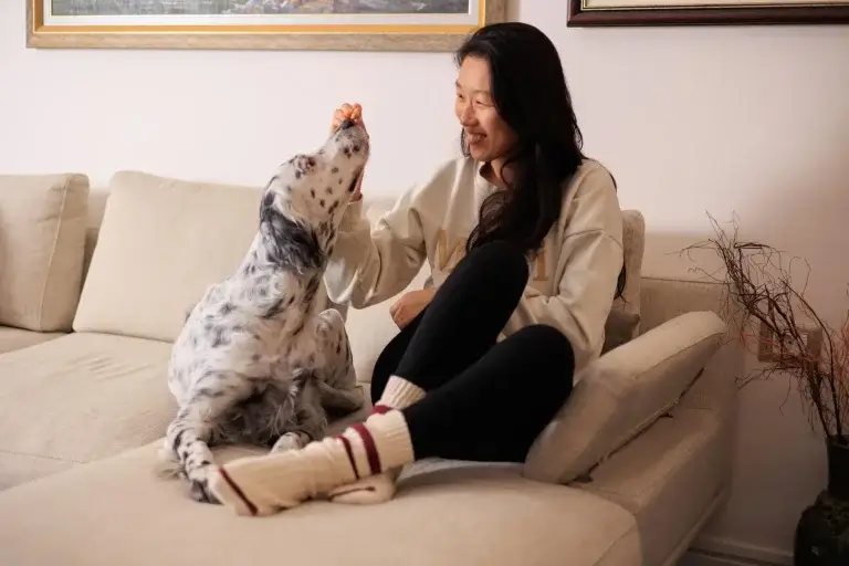 chó gần gũi với chủ hơn mèo, chó tương tác và chơi với chủ