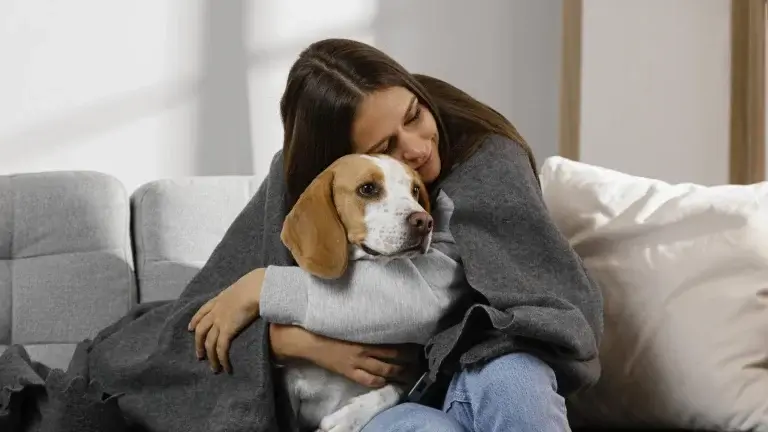 chó có hiểu cảm xúc con người, ôm chó gắn kết