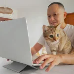 Hành vi của mèo khi ở gần chủ lúc làm việc
