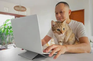 Hành vi của mèo khi ở gần chủ lúc làm việc