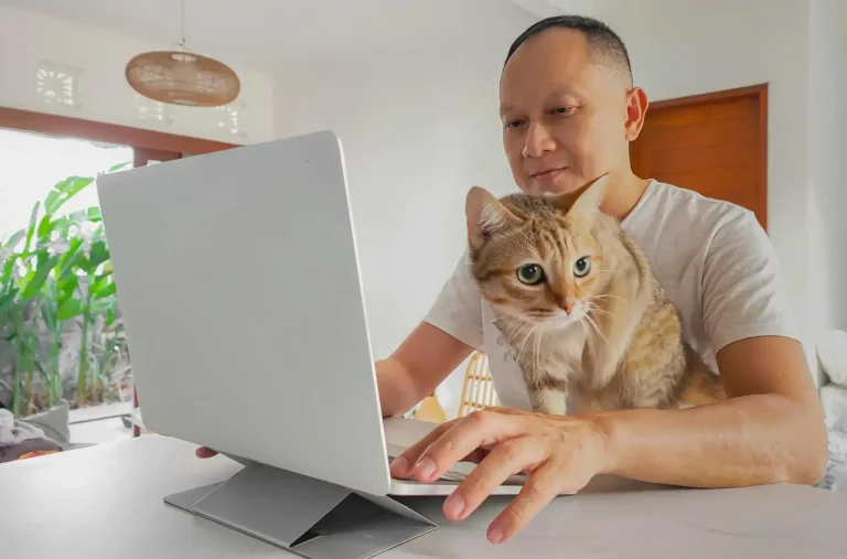 Hành vi của mèo khi ở gần chủ lúc làm việc