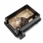 đồ dùng cho mèo - litter box