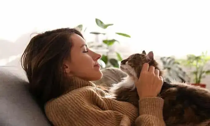 người sống nội tâm thường thích mèo, ôm mèo thư giãn trong không gian yên tĩnh
